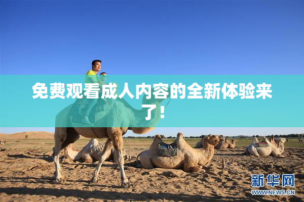 免费观看成人内容的全新体验来了！