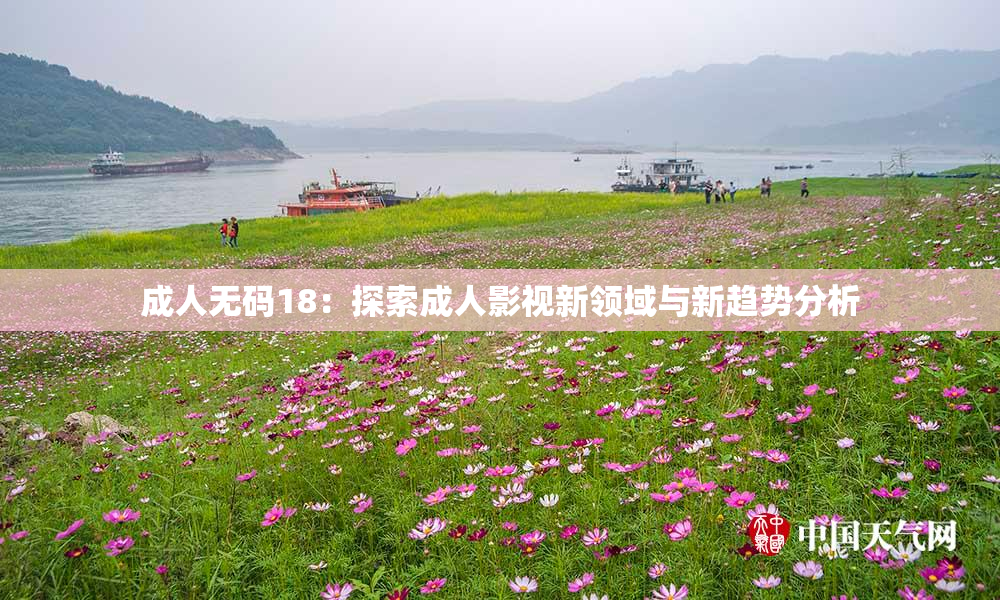 成人无码18：探索成人影视新领域与新趋势分析