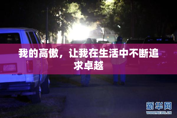 我的高傲，让我在生活中不断追求卓越