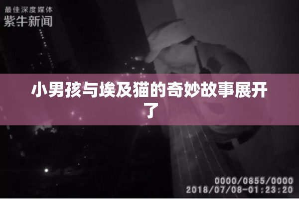 小男孩与埃及猫的奇妙故事展开了