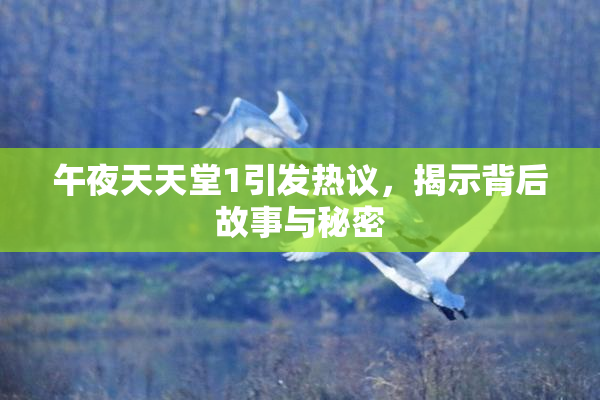 午夜天天堂1引发热议，揭示背后故事与秘密