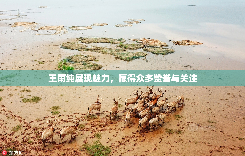 王雨纯展现魅力，赢得众多赞誉与关注