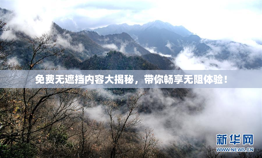 免费无遮挡内容大揭秘，带你畅享无阻体验！