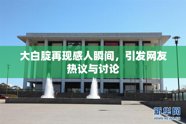 大白腚再现感人瞬间，引发网友热议与讨论