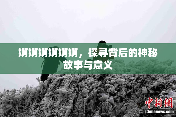 婀婀婀婀婀婀，探寻背后的神秘故事与意义