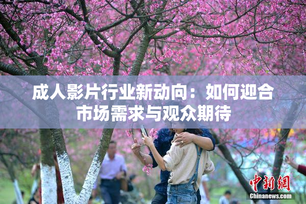 成人影片行业新动向：如何迎合市场需求与观众期待