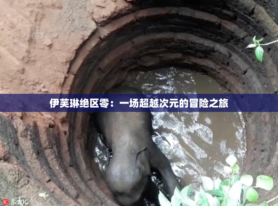 伊芙琳绝区零：一场超越次元的冒险之旅