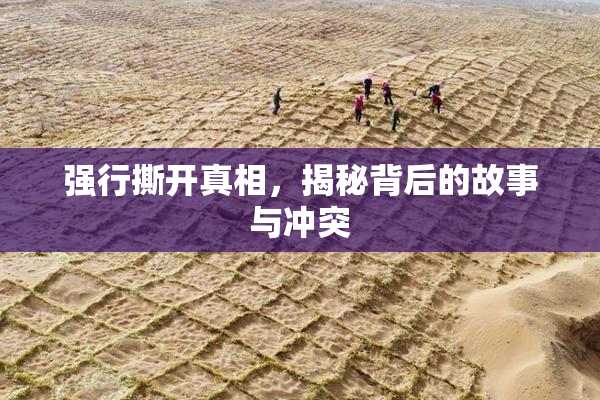 强行撕开真相，揭秘背后的故事与冲突