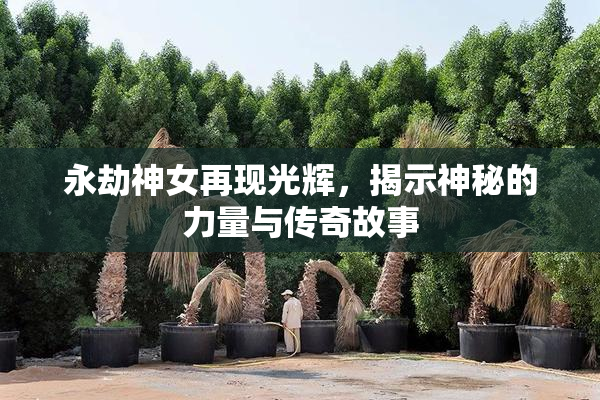 永劫神女再现光辉，揭示神秘的力量与传奇故事
