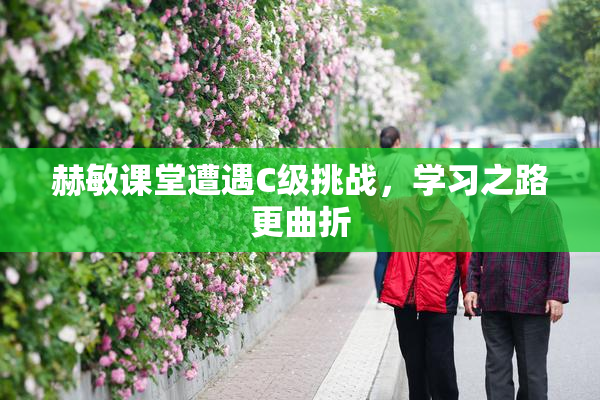 赫敏课堂遭遇C级挑战，学习之路更曲折