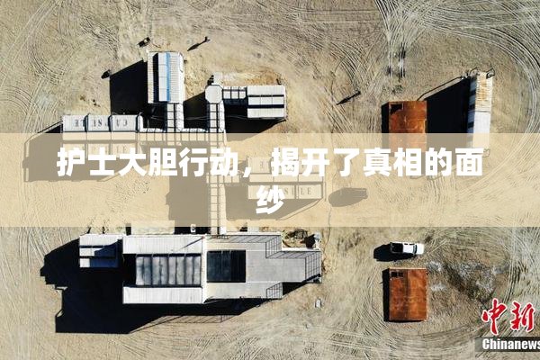 护士大胆行动，揭开了真相的面纱