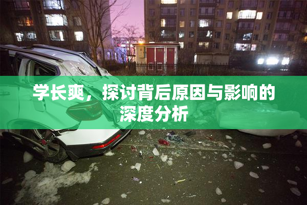 学长爽，探讨背后原因与影响的深度分析