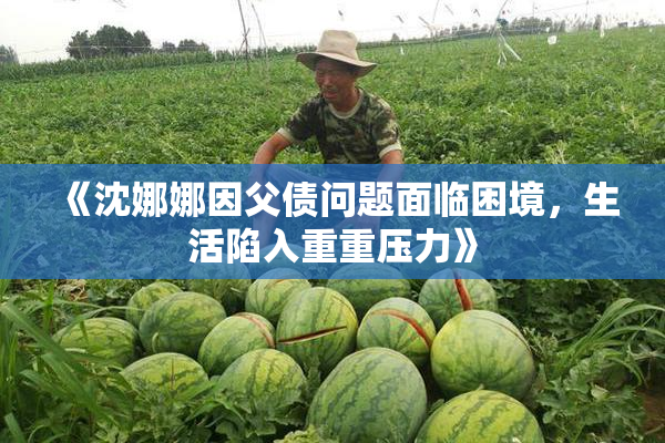 《沈娜娜因父债问题面临困境，生活陷入重重压力》
