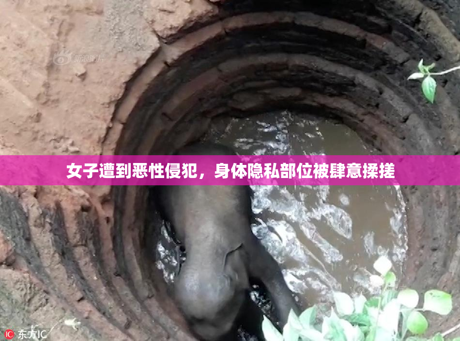 女子遭到恶性侵犯，身体隐私部位被肆意揉搓