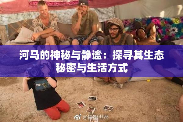 河马的神秘与静谧：探寻其生态秘密与生活方式