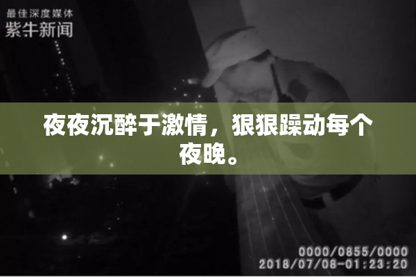 夜夜沉醉于激情，狠狠躁动每个夜晚。