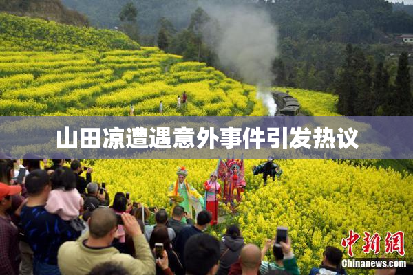 山田凉遭遇意外事件引发热议