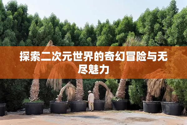 探索二次元世界的奇幻冒险与无尽魅力