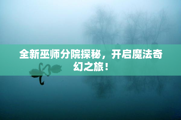 全新巫师分院探秘，开启魔法奇幻之旅！