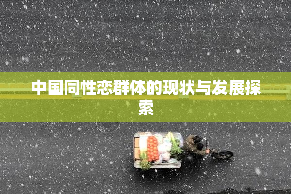 中国同性恋群体的现状与发展探索
