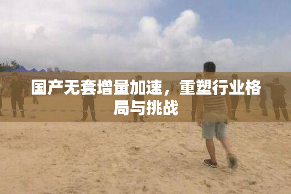 国产无套增量加速，重塑行业格局与挑战