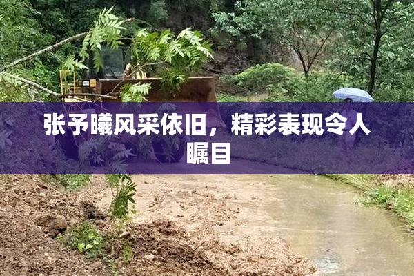 张予曦风采依旧，精彩表现令人瞩目