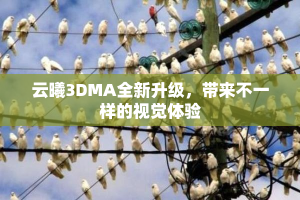 云曦3DMA全新升级，带来不一样的视觉体验