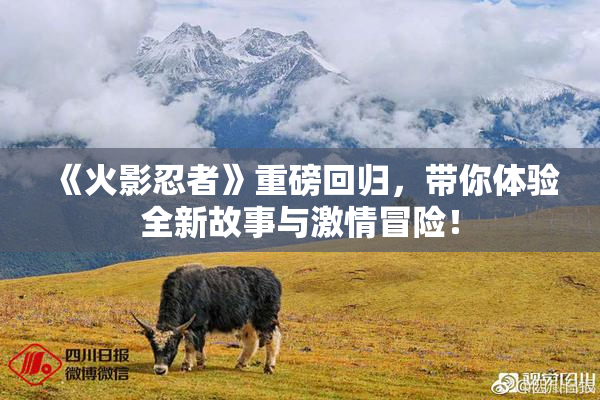《火影忍者》重磅回归，带你体验全新故事与激情冒险！
