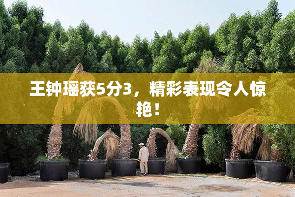 王钟瑶获5分3，精彩表现令人惊艳！