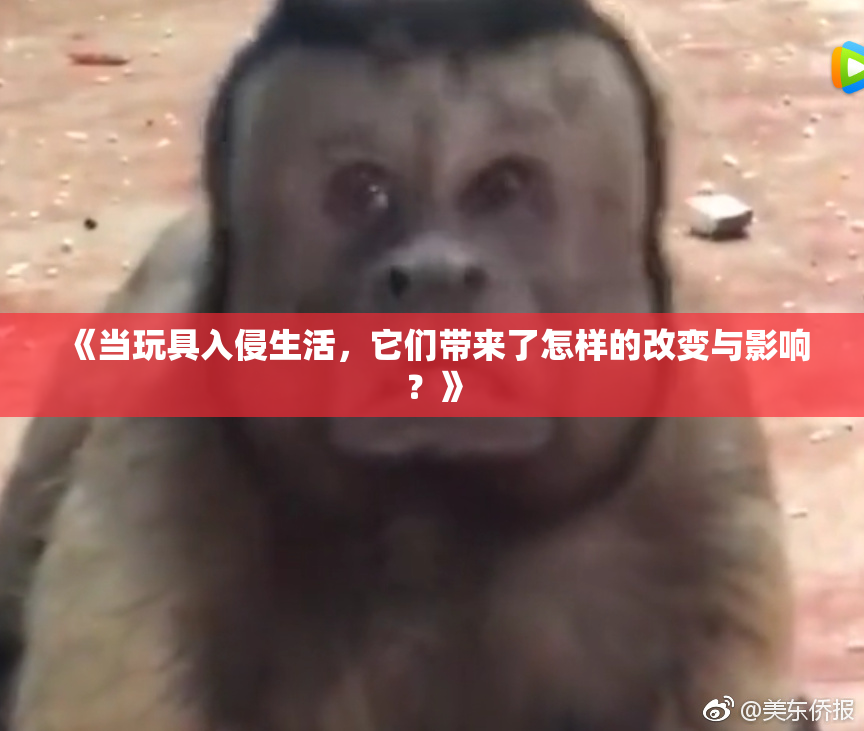 《当玩具入侵生活，它们带来了怎样的改变与影响？》
