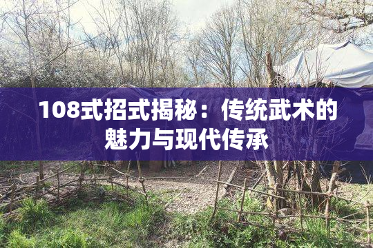 108式招式揭秘：传统武术的魅力与现代传承