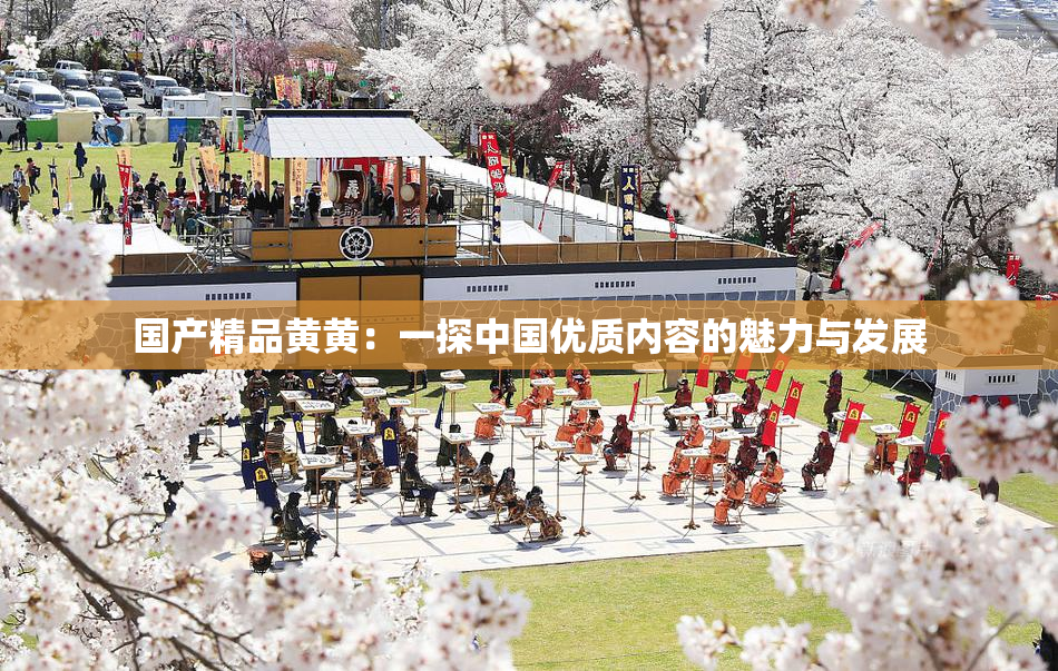 国产精品黄黄：一探中国优质内容的魅力与发展