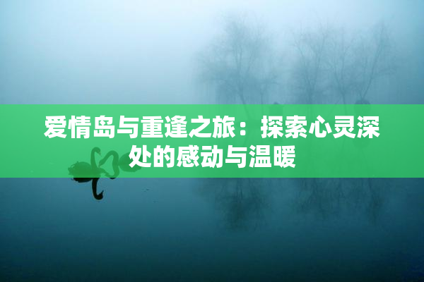 爱情岛与重逢之旅：探索心灵深处的感动与温暖