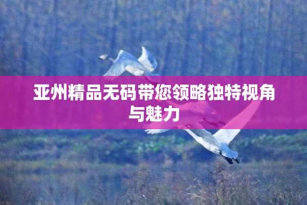 亚州精品无码带您领略独特视角与魅力