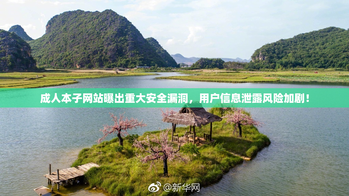 成人本子网站曝出重大安全漏洞，用户信息泄露风险加剧！