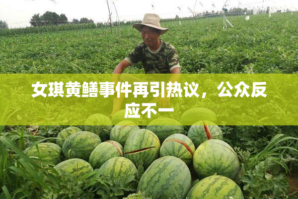 女琪黄鳝事件再引热议，公众反应不一