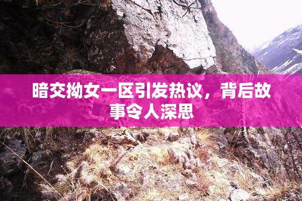 暗交拗女一区引发热议，背后故事令人深思