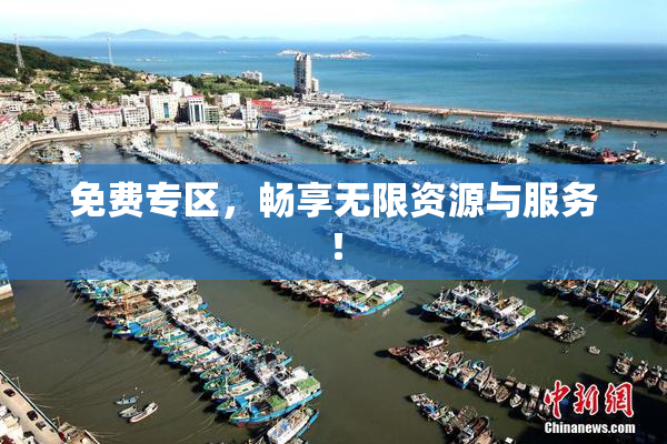 免费专区，畅享无限资源与服务！