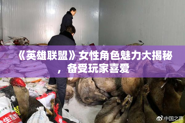 《英雄联盟》女性角色魅力大揭秘，备受玩家喜爱