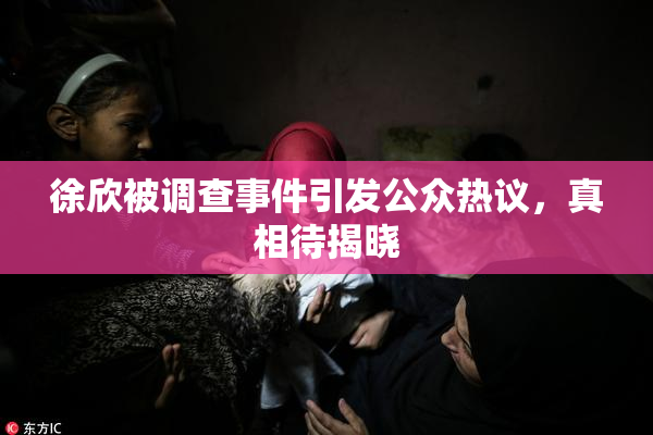 徐欣被调查事件引发公众热议，真相待揭晓