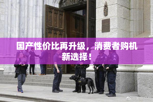 国产性价比再升级，消费者购机新选择！