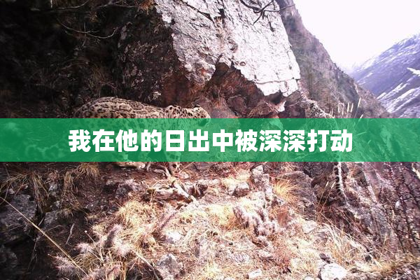 我在他的日出中被深深打动