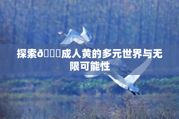 探索🔞成人黄的多元世界与无限可能性