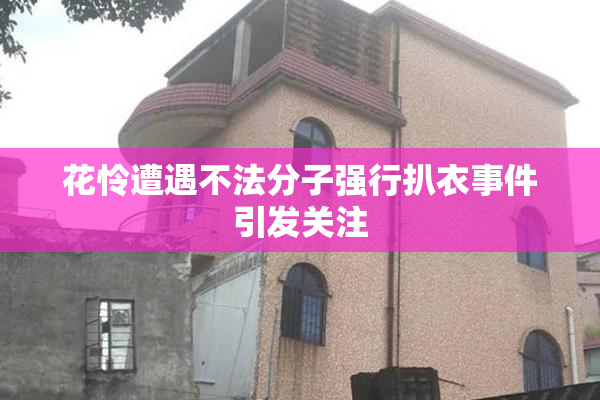 花怜遭遇不法分子强行扒衣事件引发关注