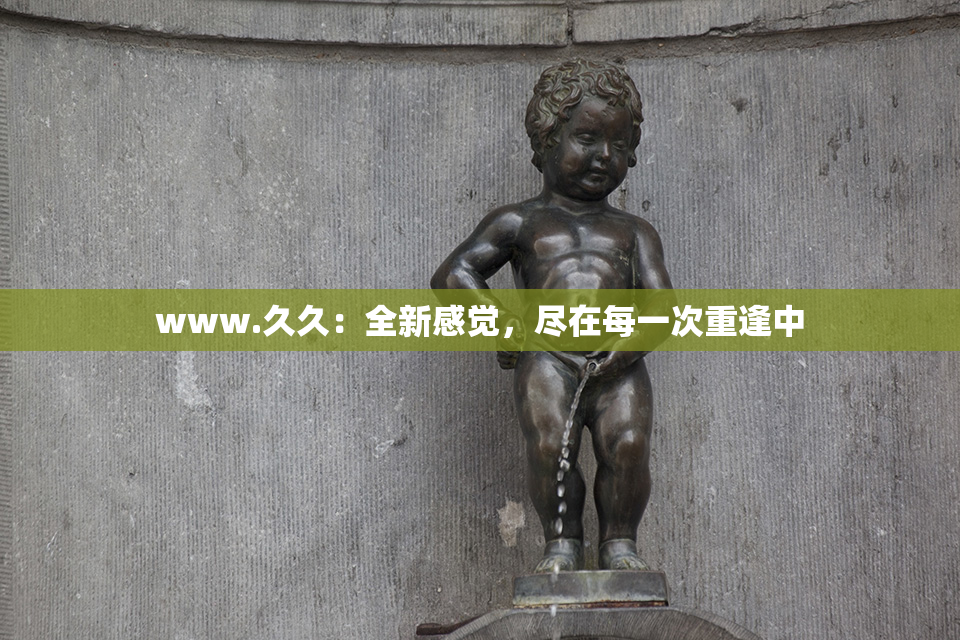 www.久久：全新感觉，尽在每一次重逢中