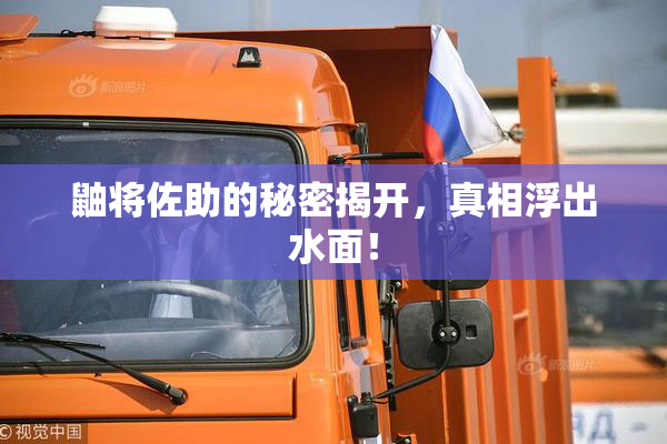 鼬将佐助的秘密揭开，真相浮出水面！