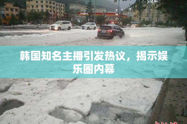 韩国知名主播引发热议，揭示娱乐圈内幕