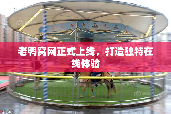 老鸭窝网正式上线，打造独特在线体验