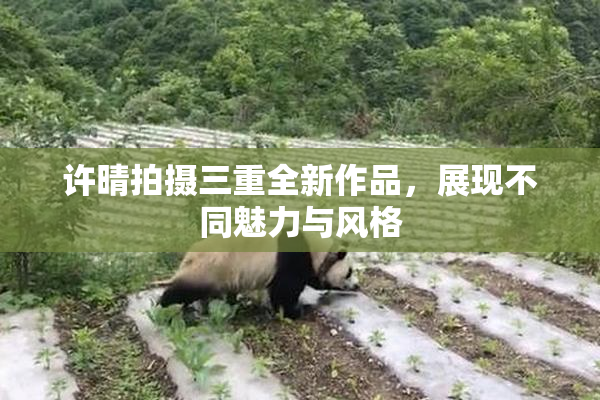 许晴拍摄三重全新作品，展现不同魅力与风格