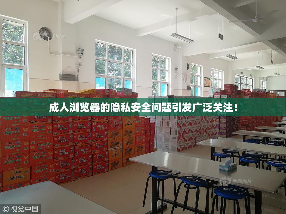 成人浏览器的隐私安全问题引发广泛关注！